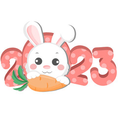 2023 year of the rabbit