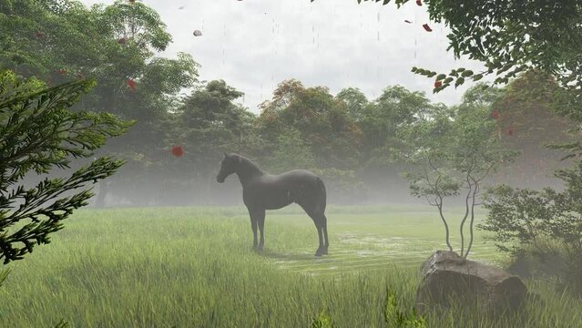deer in the forest