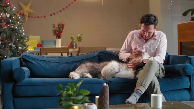 Man is sitting on the couch in living room with Christmas decorations, petting his dog and working on tablet.