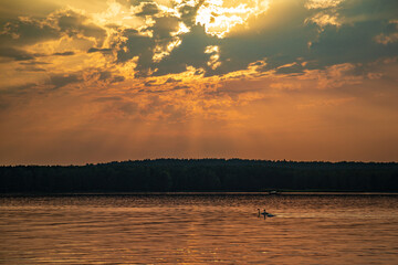Zachód słońca i łabędzie nad Zalewem Sulejowskim.  © fotozen