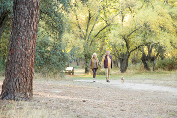 Mature couple walking a dog in a forest