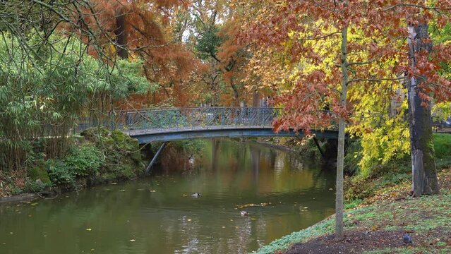 Pond, bridge and colored trees in the Jardin Public park in Autumn in Bordeaux, France