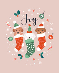 Christmas greeting card. Vector illustration of three cute cartoon puppies in Christmas socks, isolated on abstract light pink background with snow, mistletoe, and Christmas toys