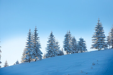 Mountain landscape in winter