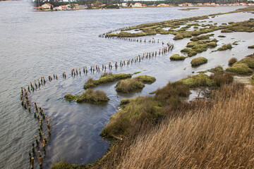 Ilhávo, Parque das merendas de Vista Alegre, Aveiro Portugal.