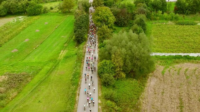 A group of cyclists on the sixth. Bicycle races. Sport. A peloton of cyclists moves against the background of green nature and settlements