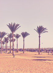 Retro toned picture of a tropical beach on a sunny day.