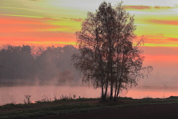 Sunrise over the lake. Tree in the foreground. October. Poland
