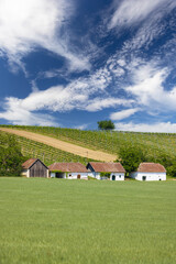 Obraz premium Traditional wine cellars street in Diepolz near Mailberg, Lower Austria, Austria