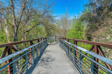 Austin, Texas- Boardwalk with railings in a forest