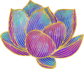 Hand drawn blue lotus with golden outline flower ornament