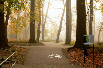 Droga rowerowa w jesiennym parku - obrazy, fototapety, plakaty