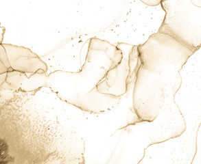 Alcohol Ink Texture. Oil Light Artistic Print.