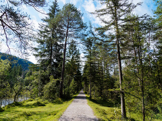 Obraz premium Wanderweg in Bayerischen wald entlang der Weißach im Kreuther Tal zwischen Rottach-Egern und und Pförner Brücke 