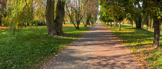 Path in the park.Autumn leaves on the ground. CITY PARK IN AUTUMN. BEAUTIFUL WEATHER IN THE TOWN AUTUMN PARK