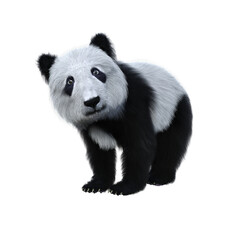 Cute Panda cub standing. 3d illustration isolated on transparent background.