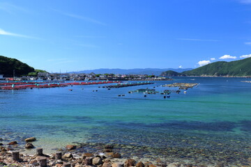 柏島　養殖　夏　（幡多郡　大月町）