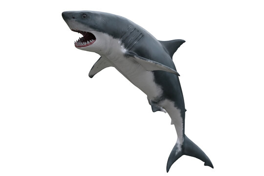 Great White Shark jumping. 3D render isolated on transparent background.