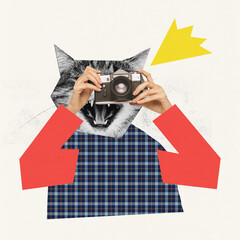 Contemporary art collage. Creative design. Cat's head with female hand taking photos with vintage camera. Photographer