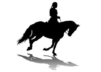 Horse with a riders women on a white background