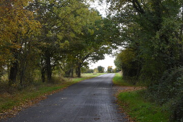 the road traveling through Monkwood in Worcestershire 