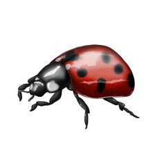 Illustration of a ladybug insect on an isolated background. Bright and beautiful . print, illustration