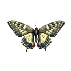 Fototapeta na wymiar Illustration of a butterfly insect on an isolated background. Bright and beautiful . print, illustration