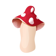 Wild mushroom red with dots in cartoon style isolated on white background. Decoration, clip art,