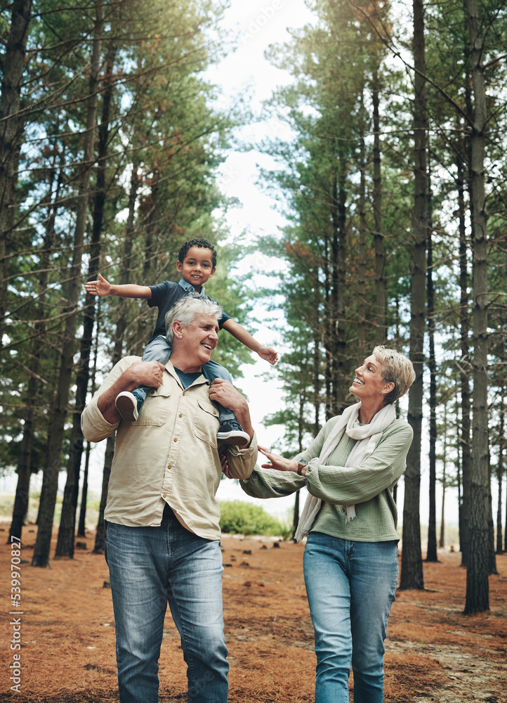 Poster Hike, nature and children with senior foster parents and their adopted son walking on a sand path through the tress. Family, hiking and kids with an elderly man, woman and boy taking a walk outside