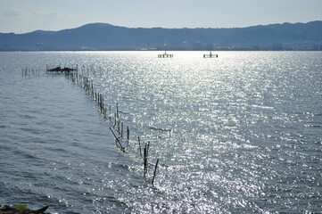 琵琶湖の湖面が輝く穏やかな風景