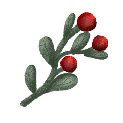 wild strawberry isolated on white