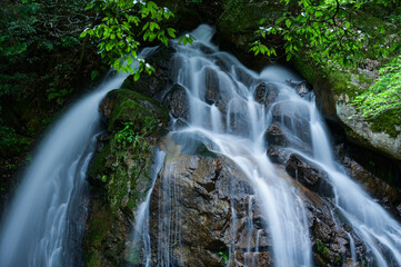 岩盤を流れ下る滝の写真（岐阜県）