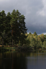 Autumn forest on the lake shore against a cloudy sky. Autumn landscape. The forest and the dramatic sky are reflected in the water surface.