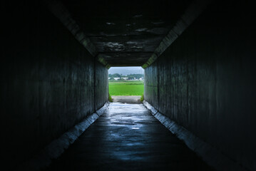 トンネルの出口から広がる田園風景