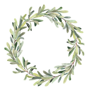 Field herbs, hand painted watercolor mistletoe green branches wreath illustrations. Herbarium, botanical elements for design. Watercolor hand drawn frame clipart