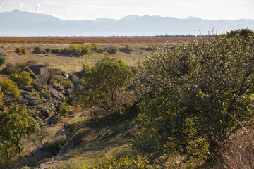 Fototapeta na wymiar Landscape with autumn distance and mountains on the horizon.