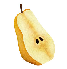 Yellow pear, slice isolated on white background. Watercolor illustration.