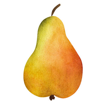 Yellow pear isolated on white background. Watercolor illustration.
