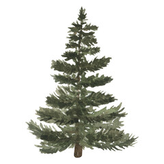 Fototapeta premium Christmas tree watercolor illustration