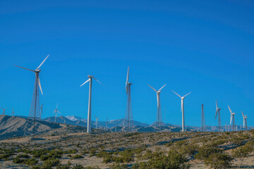 Wind turbines with lattice and tubular steel towers on a desert with wild shrubs in California