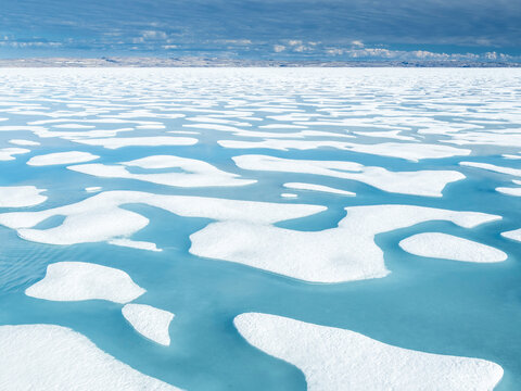 Melt water pools in the 10/10ths pack ice in McClintock Channel, Northwest Passage, Nunavut, Canada