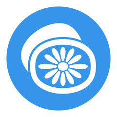 Kiwi isolated design vector icon. Fruit sign
