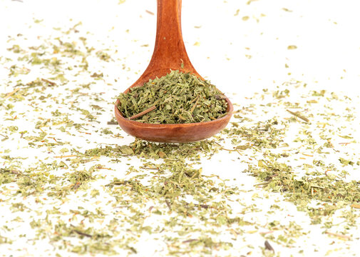 Verbena, Eisenkraut duftend, Zitronenverbene