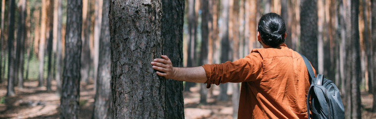 Portrait from the back of a young man with a backpack on a walk in a pine forest on a sunny day....