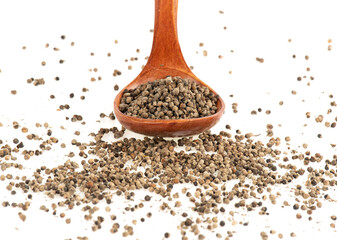 Mönchspfeffer, Keuschlammsamen