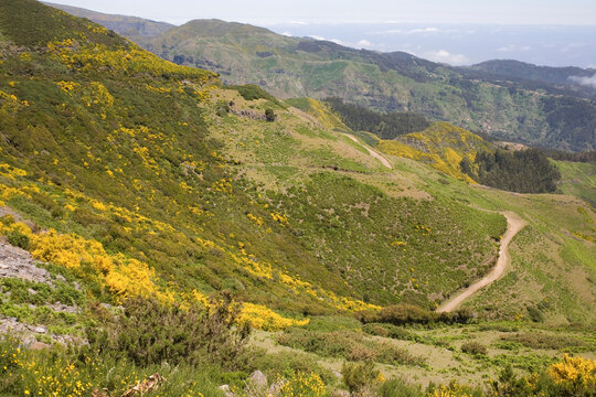 Hills and mountains in the colourful interior of Madeira seen from Pedras viewpoint, Madeira, Atlantic