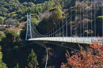 上野スカイブリッジ
