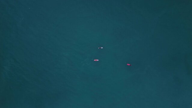 4k Top view of ships float on water outdoors irrl. Aerial pic of three small boats moving on calm turquoise waters outdoors in summer. Creative operator launched drone and captured magnificent picture