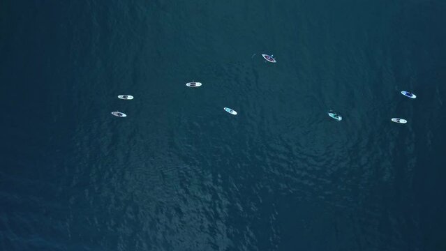 4k Top view of soupboards swim and compete on water in summer day irrl. Aerial of people in small boats rowing and moving on blue sea outdoors. Amazing drone picture of sports or extreme tourism and