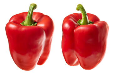 Red paprika with a green tail. Isolate on white background